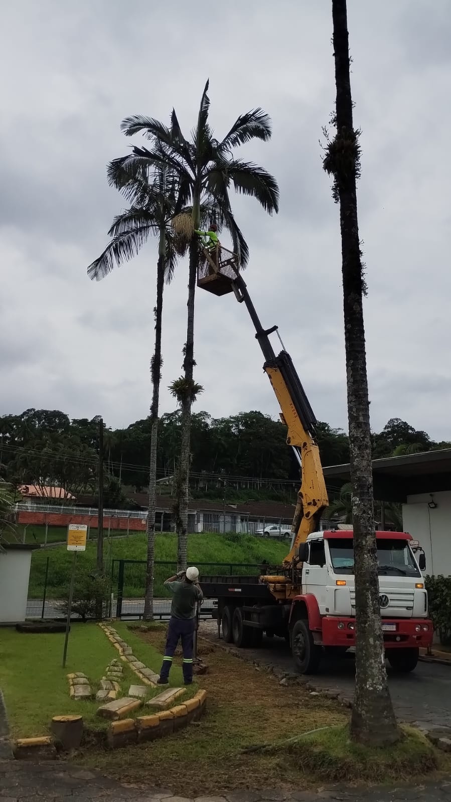Caminhão munck da RS Munck e Poda em operação